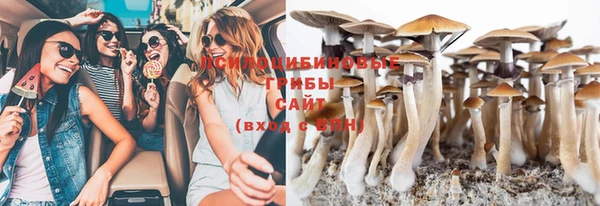 дживик Абинск