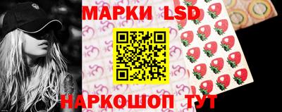 шишки Кандалакша