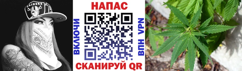 Бошки Шишки LSD WEED  продажа наркотиков  Сочи 